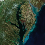 Chesapeake Bay Tidewater Region